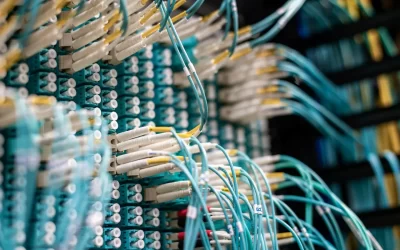 Mid-2025 BOI Update: Incentives, Safeguards & Global Roadshows Shaping Thailand’s Investment Landscape