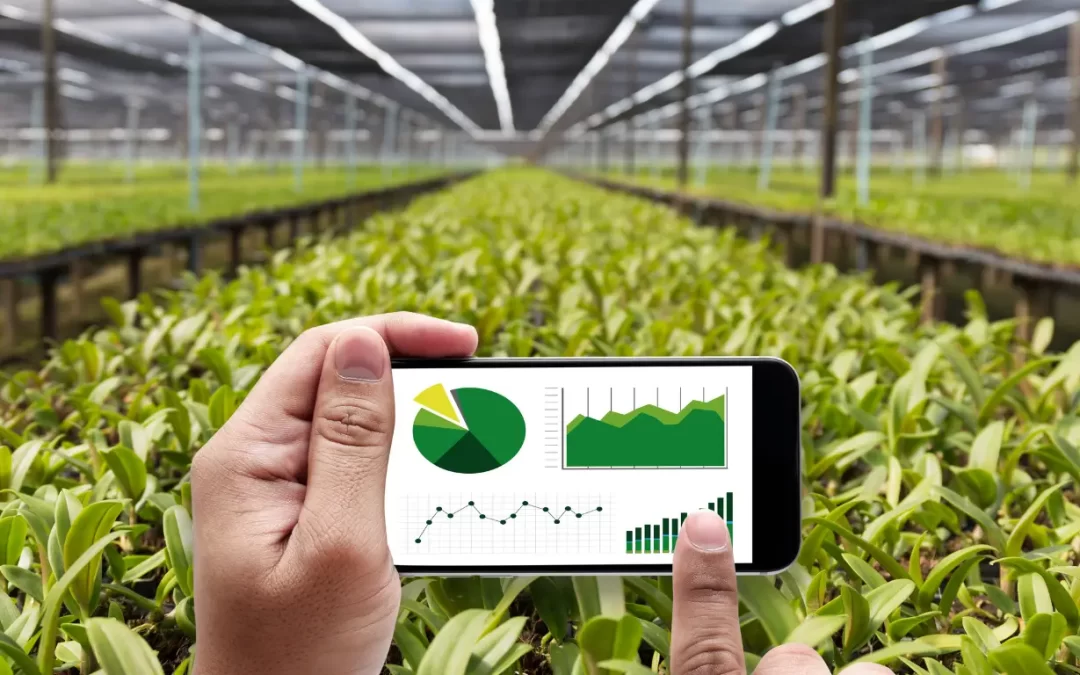 BOI Eligible Activities